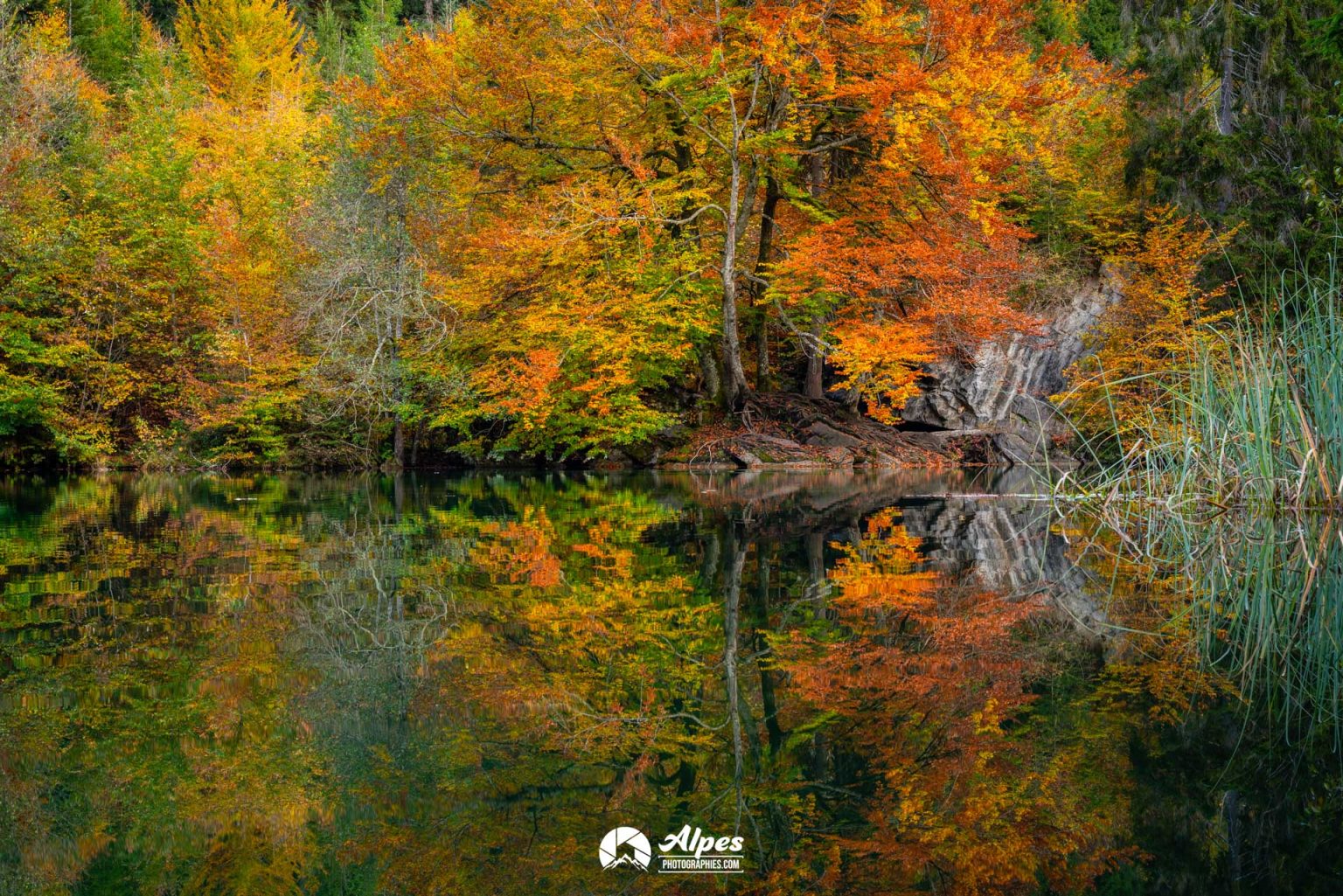 Lac de la Cresta, lac crestasee à Flims laax en automne