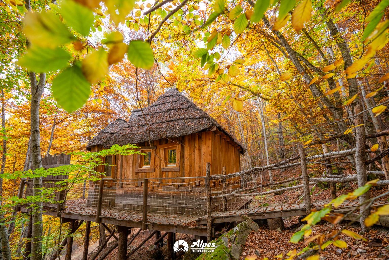 Cabane perchée dans la forêt du Champsaur